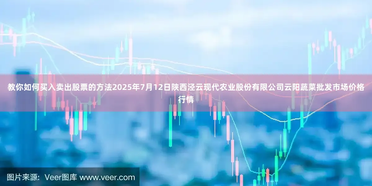 教你如何买入卖出股票的方法2025年7月12日陕西泾云现代农业股份有限公司云阳蔬菜批发市场价格行情