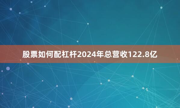 股票如何配杠杆2024年总营收122.8亿