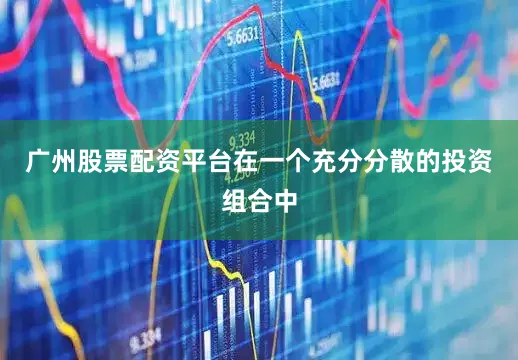 广州股票配资平台在一个充分分散的投资组合中
