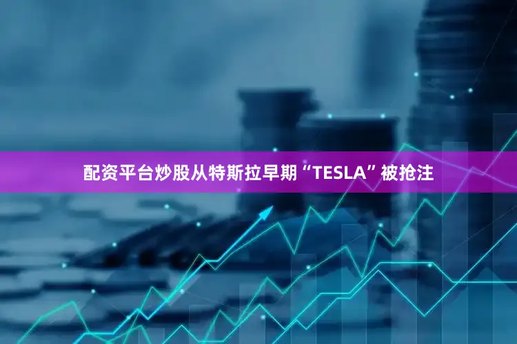 配资平台炒股从特斯拉早期“TESLA”被抢注