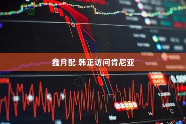 鑫月配 韩正访问肯尼亚
